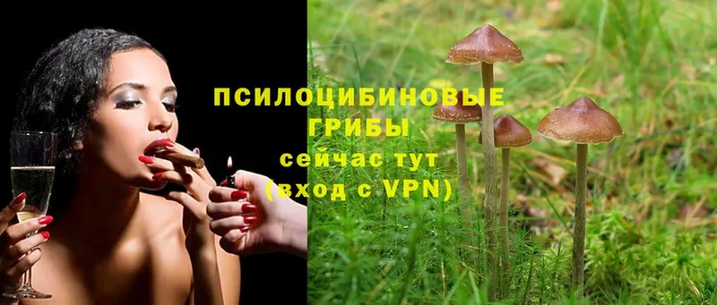 Галлюциногенные грибы GOLDEN TEACHER  закладки  Руза 